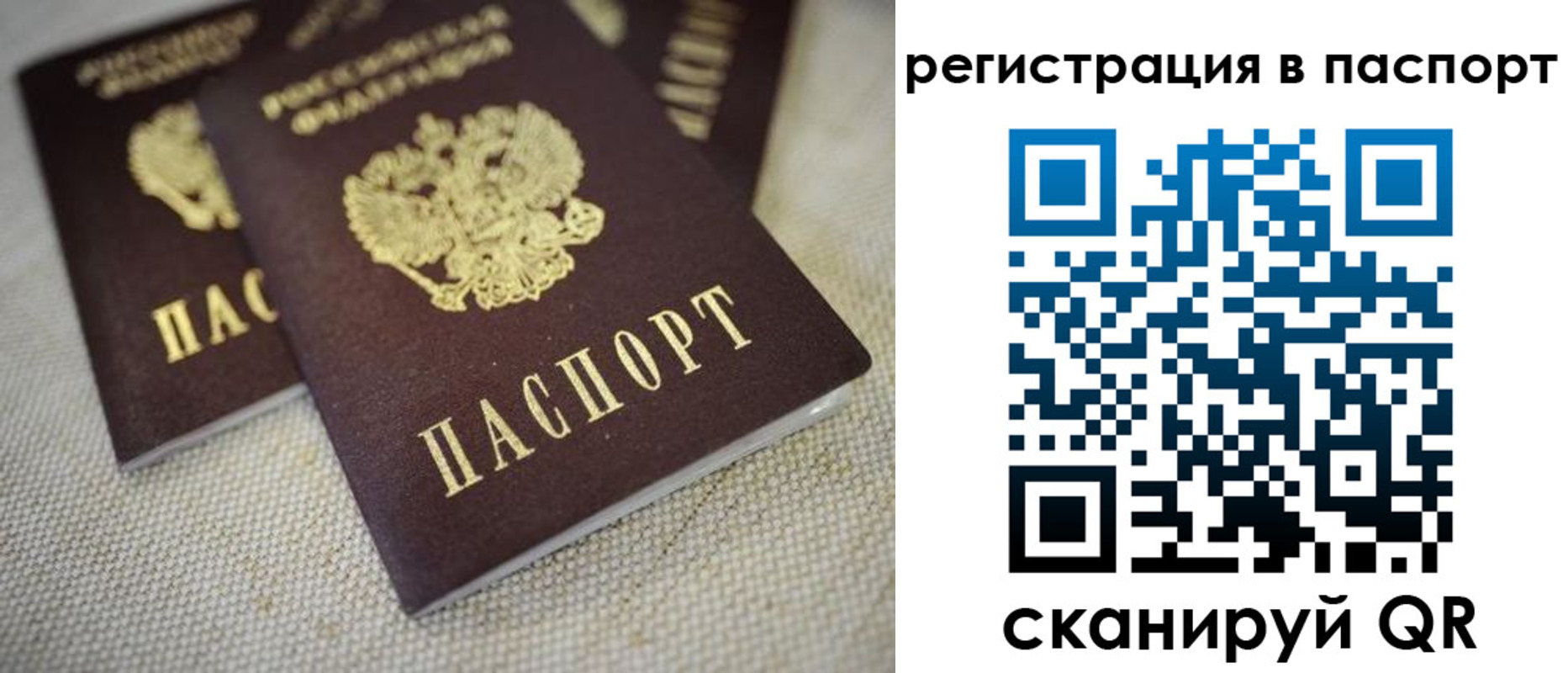 прописка гарантия в Курганской области